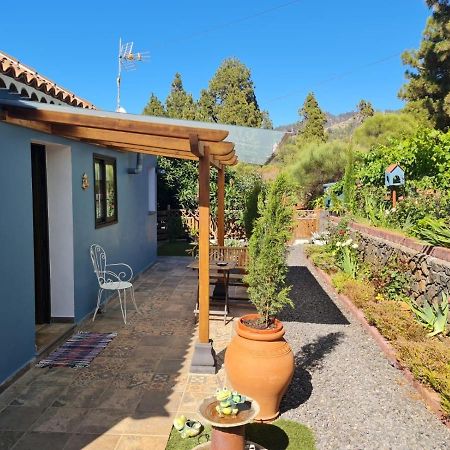 Casa Rosales With Pool & Wifi Villa Puntagorda Eksteriør billede