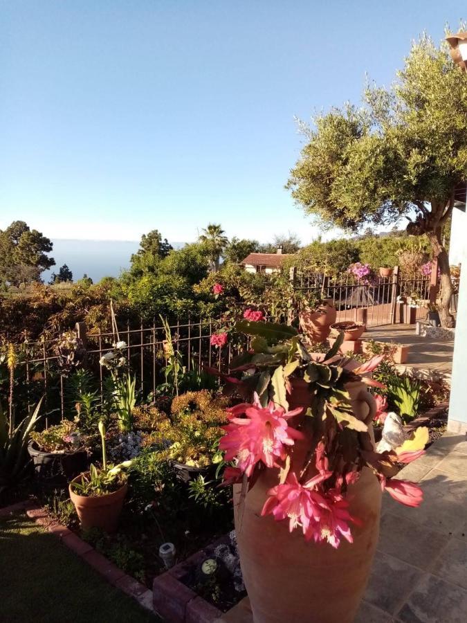 Casa Rosales With Pool & Wifi Villa Puntagorda Eksteriør billede