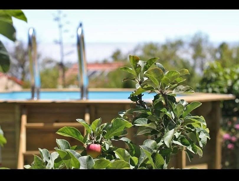 Casa Rosales With Pool & Wifi Villa Puntagorda Eksteriør billede